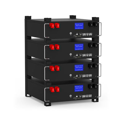 51.2V 5Kwh Bateria LFP4 AKKU Litowo-Jonowa 48V 100Ah LiFePO4